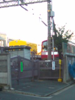 �󑐂��񂶂�Ȃ��I