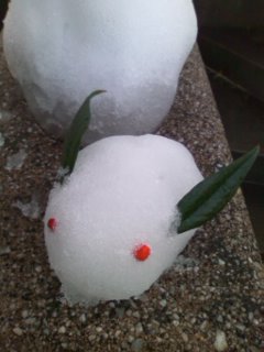 �Ƃ��Ă��܂����̂�