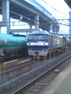 �����̂��������