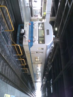 �������ǂ����S�V���B�ɂ�ɂ�B