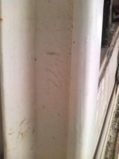 1922�N����