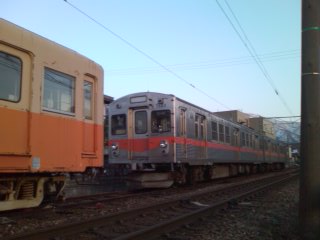 ������͓��}�̎q