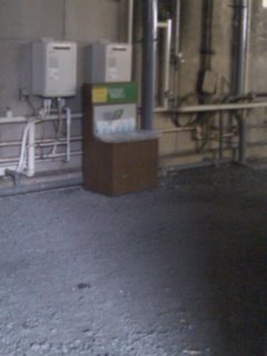 �ҍ����̗��ł܂��ڂ���