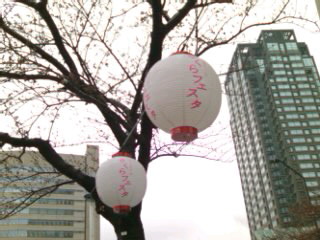 ������t�F�X�^�I(����)