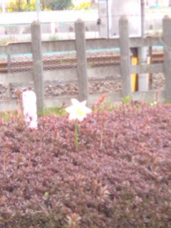 ���������������B