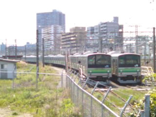 �ᕟ(*�L�ցM*)