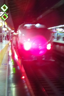 �S�[�X�g�̊֌W�� 200������Ђ���O�����������������悤�ɂȂ��Ă�������