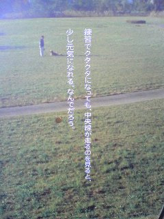 ����͂ˁA