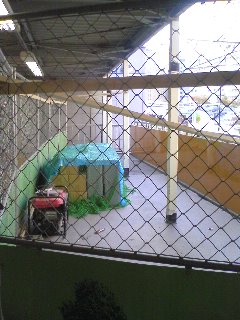 �Ȃ�Ă��Ɓc�I