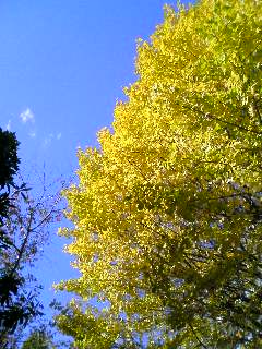 �E��̂܂�����