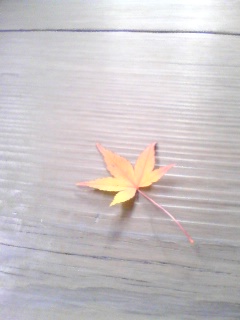 ���ꂢ�ł�