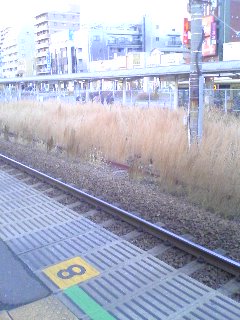 �����͂ǂ������I���Ă��開�Ԃ��獡�͖����B