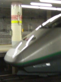 �������肢���������I