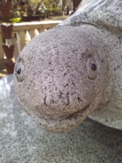 �������c�c