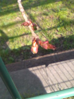 �Ȃ�Ă������[�I