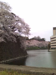 �����炷����