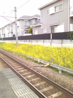 R7�������Ă�