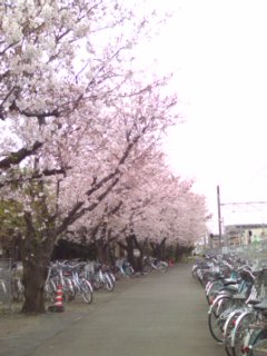 �����ɂ�����