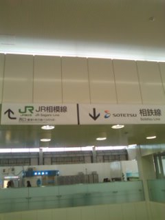 ���c�}����̗D�����B