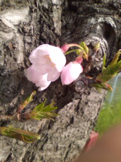 �Ђ�����Ђ�����