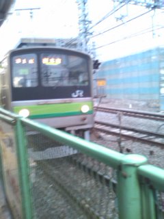 �Q�Â炢���Ă����Ă��̂͂ǂ̌����B