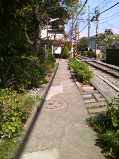 ���_�Ёi�w�j