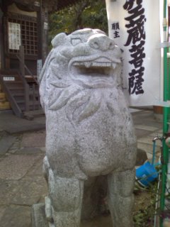 ���󑠂����