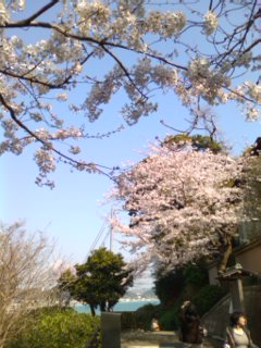 �カ��Ă��B