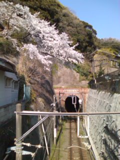 �Ɋy���̏t�B