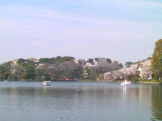 �Ŋ��w�͐����r�ł��B