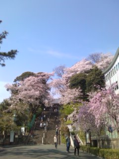 �x��΂��Ȃ���