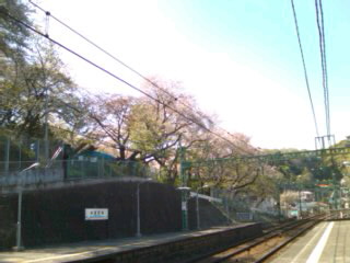 �S�H�͂R���Ȃ̂�