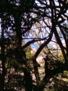 ���j�˂����