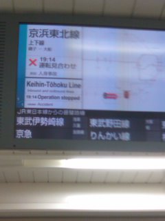 �����{�̗��؂�