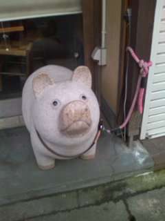 �����͉䂪�g�B