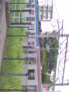 �Ȃɂ�����������