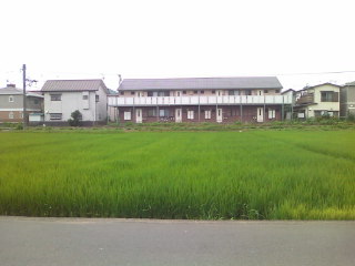 �킩��Â炢��