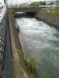 �����䉺�B