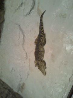 ���ꂽ�Ԃ񑗂��ĂȂ��B