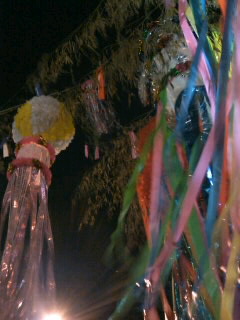 �l���������B