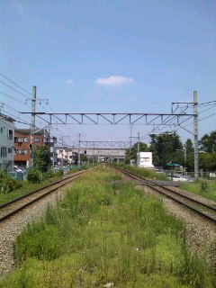 �V�C���悢