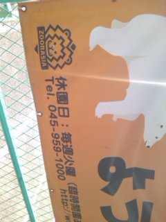 ���؂�ҁc�c�I