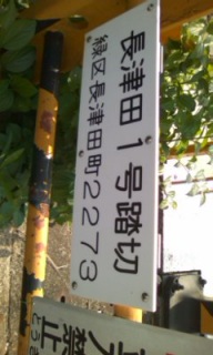 ���������͋t����