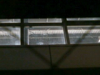 �������炱��Ȃ��̂�������