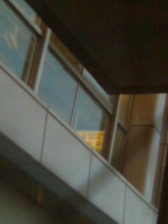 ���͂悤�����������B