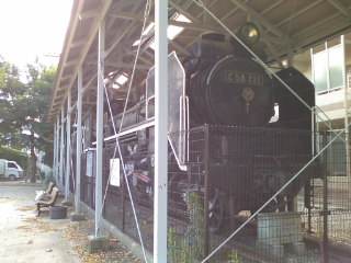 ���{�C����������