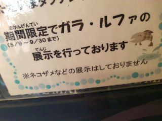 �˂����߂��Ȃ��̂��I