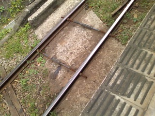 ���̉����H